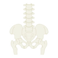 骨盤矯正で本当に痩せるの？